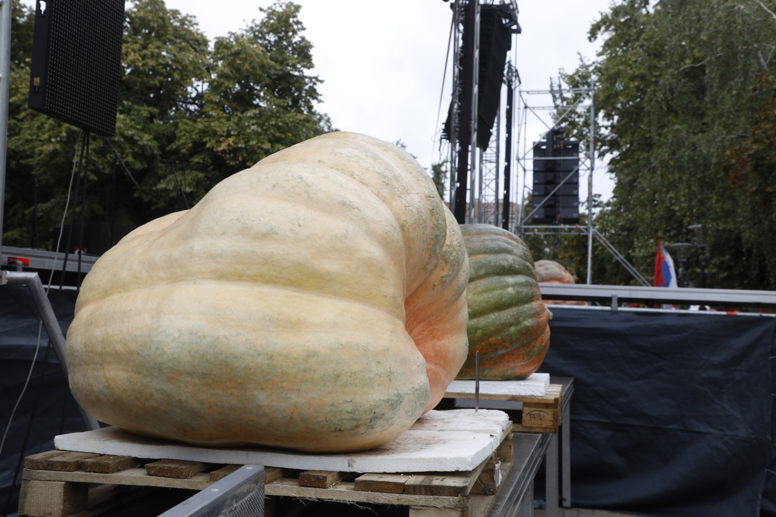 Festivalul Dovleacului de la Kikinda 2022 (35)