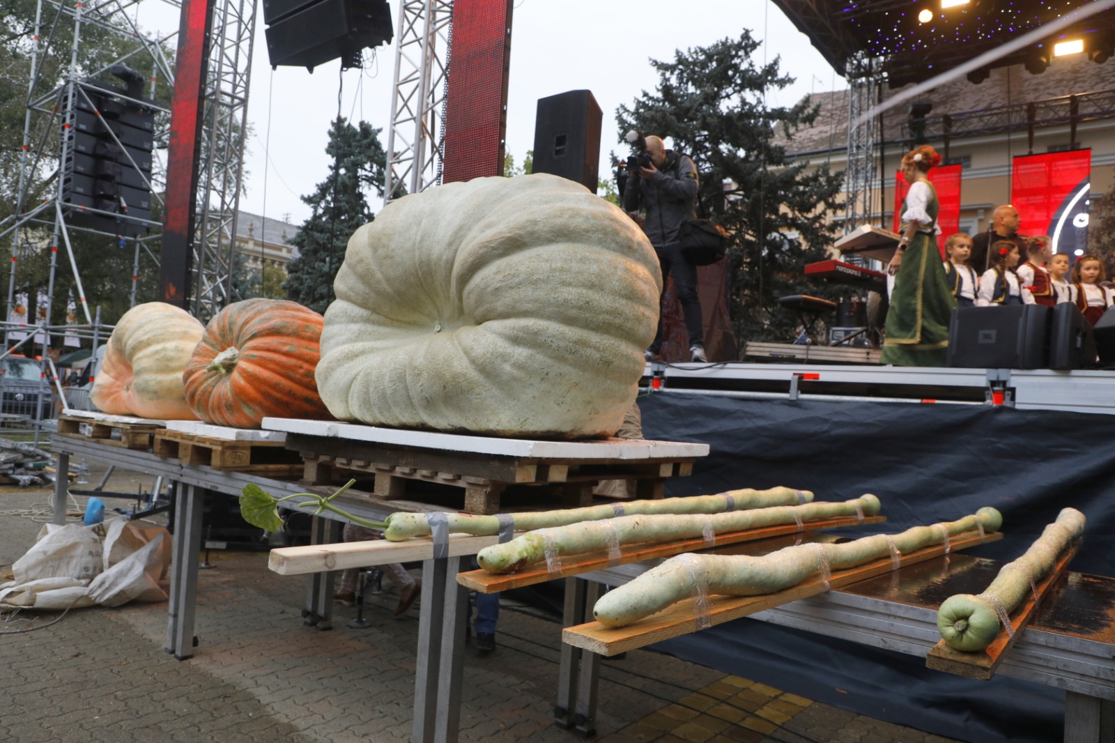 Festivalul Dovleacului de la Kikinda 2022 (36)