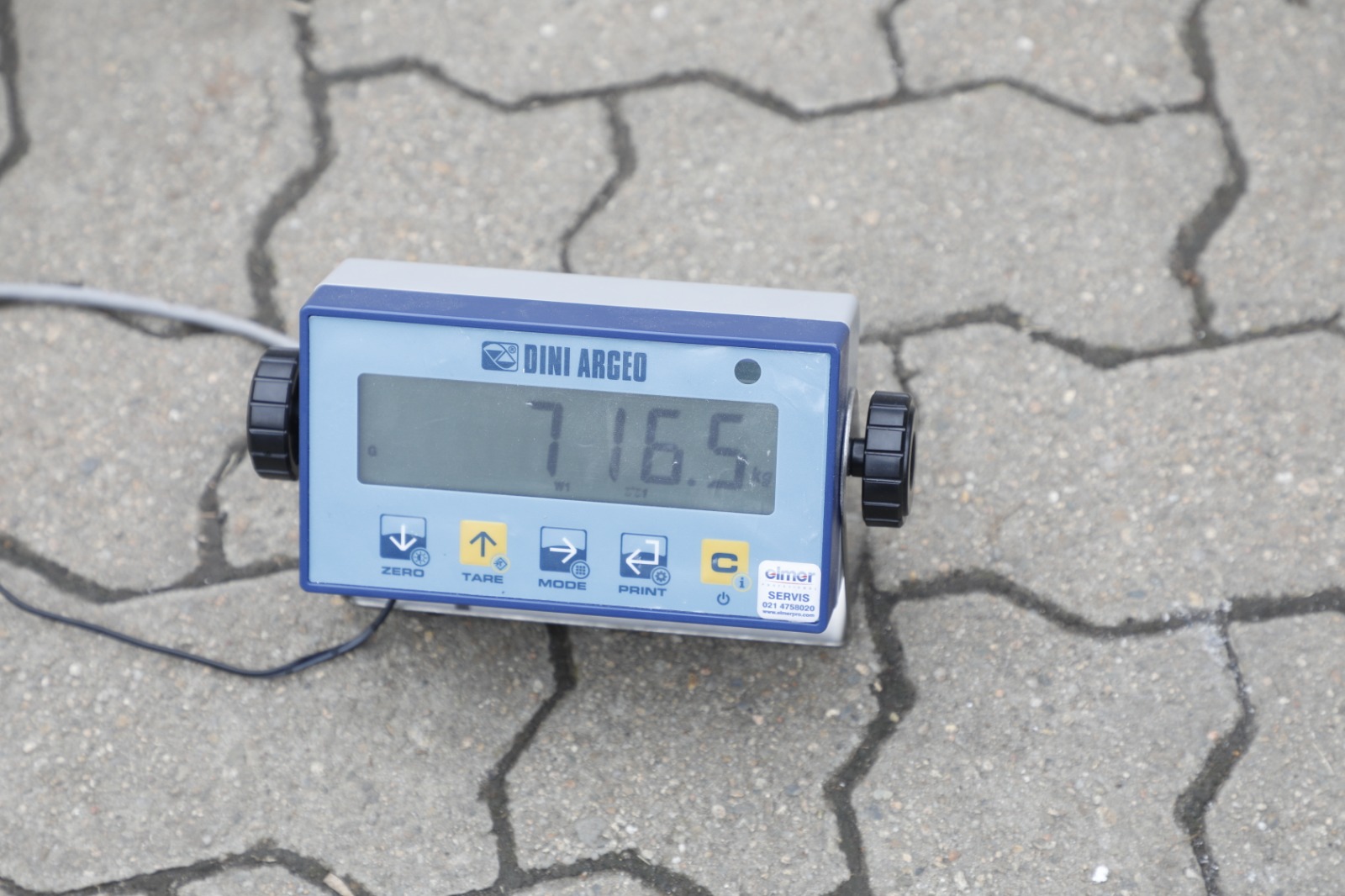 Festivalul Dovleacului de la Kikinda 2022 (37)