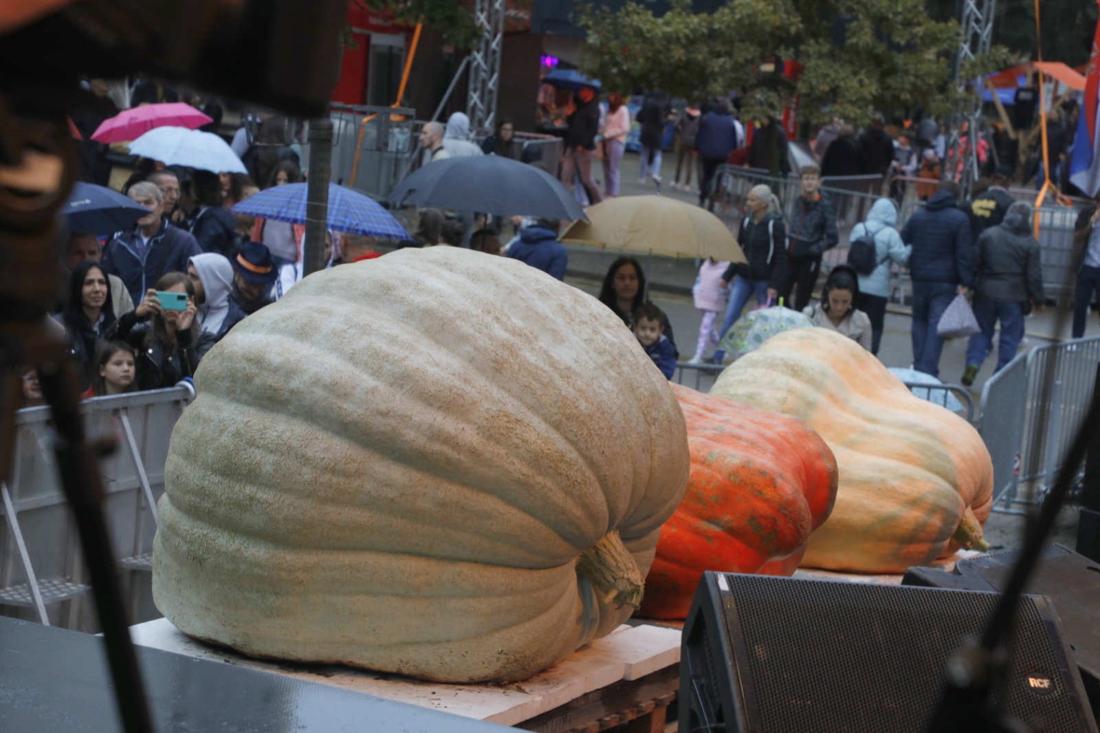 Festivalul Dovleacului de la Kikinda 2022 (42)