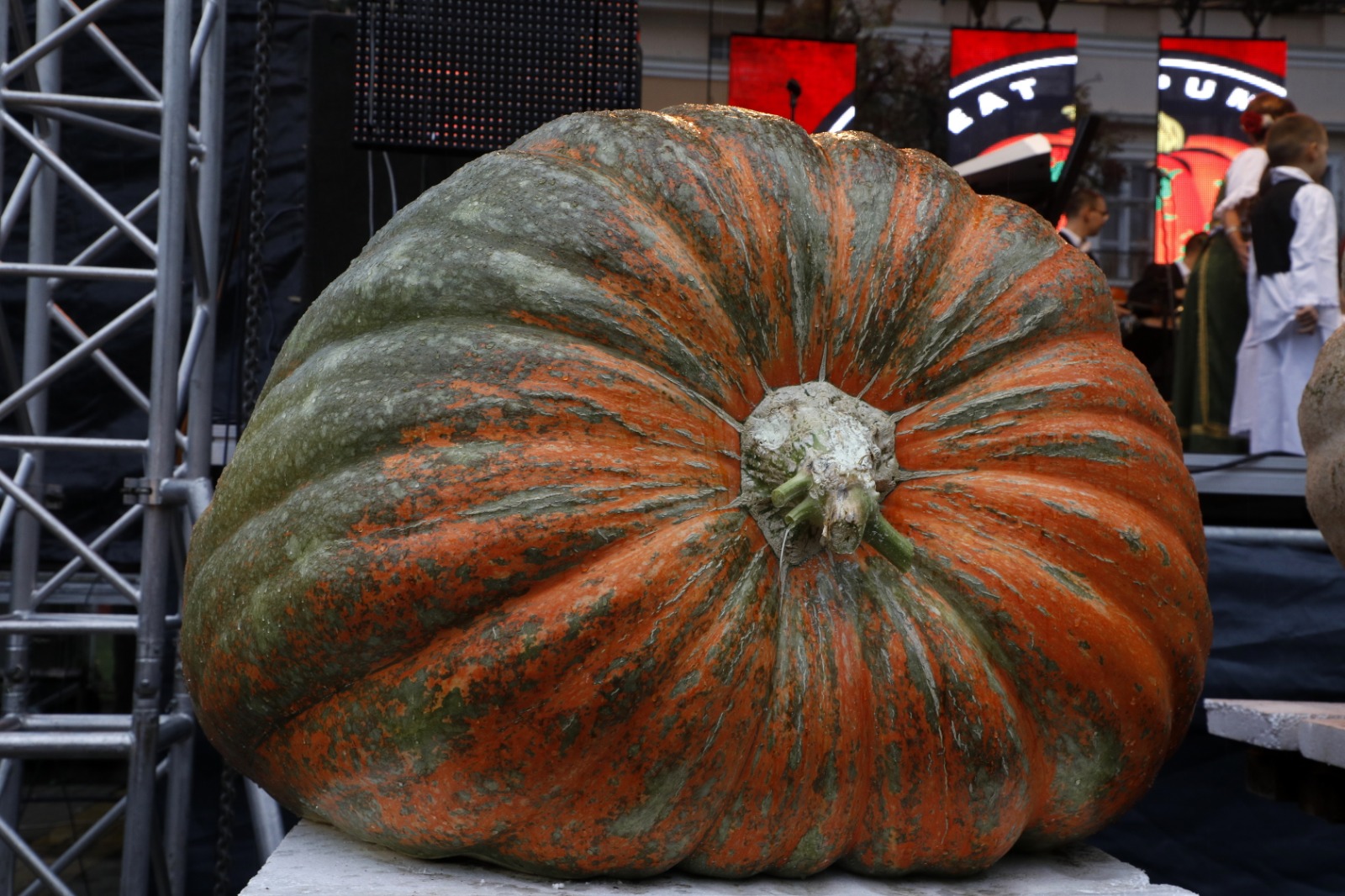 Festivalul Dovleacului de la Kikinda 2022 (43)