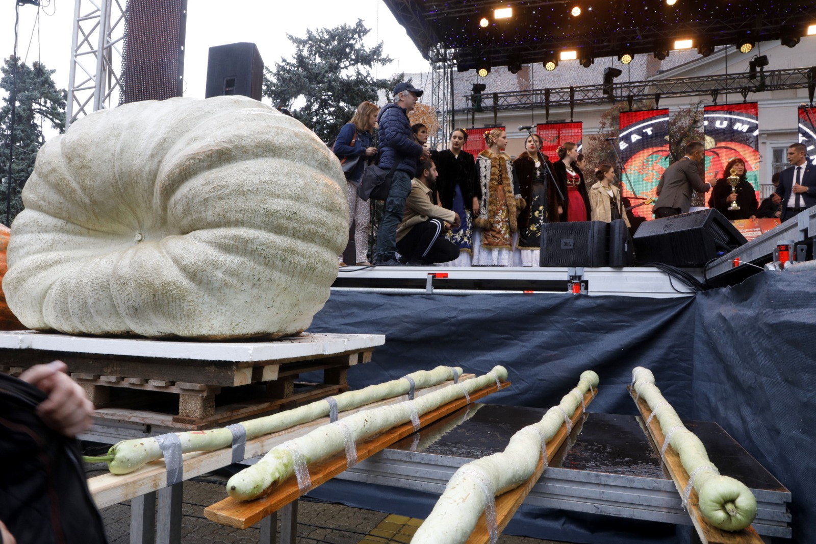 Festivalul Dovleacului de la Kikinda 2022 (45)