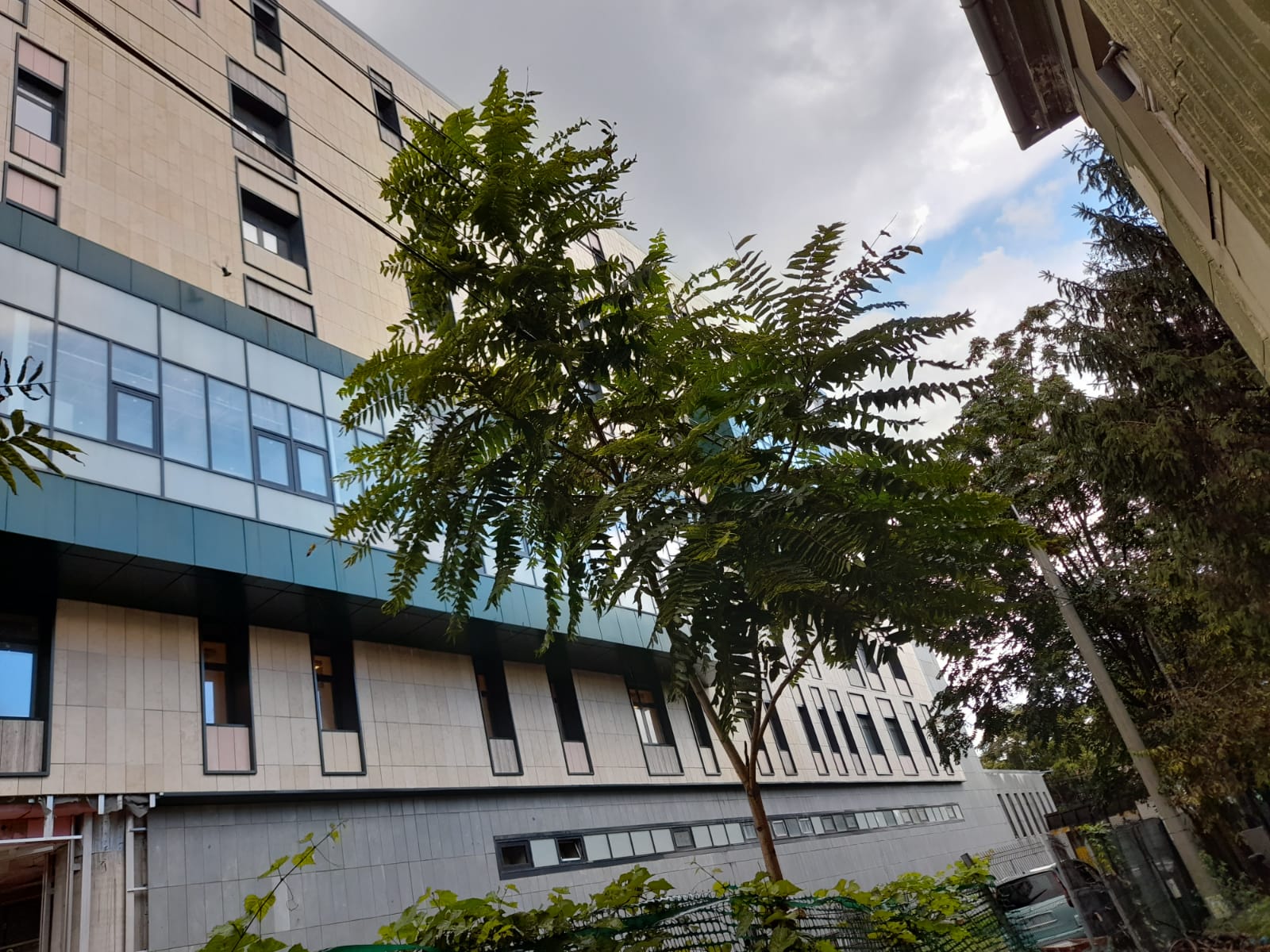 corp B spitalul de copii timișoara (14)