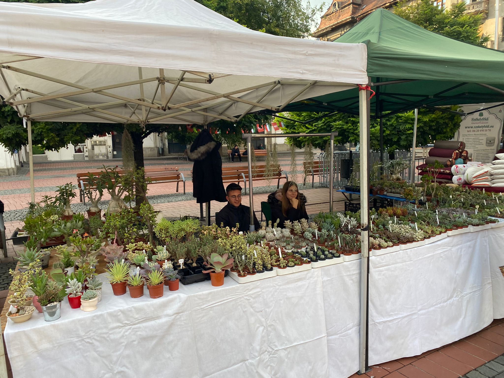 WhatsApp Image 2022-09-23 at 18.48.47