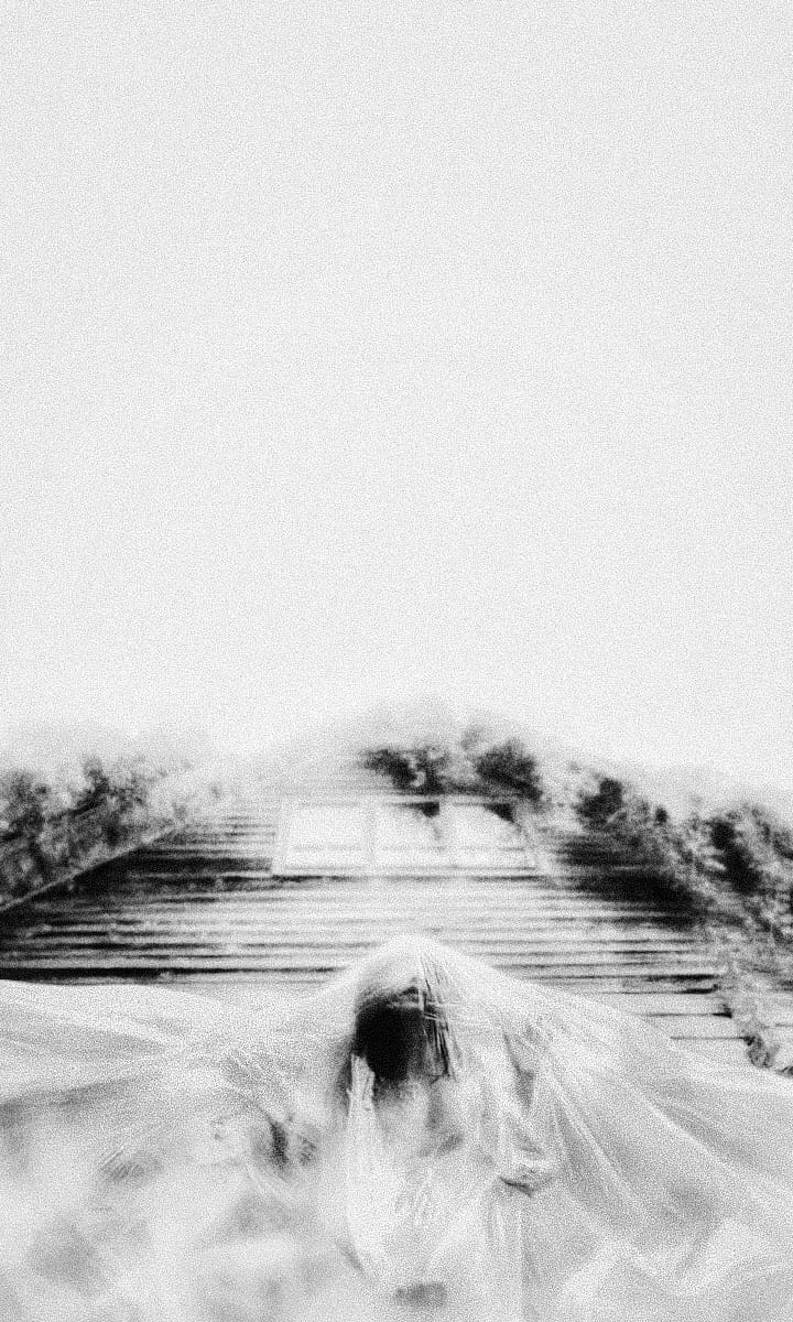 Cele care nu se văd @Anca Cernoschi