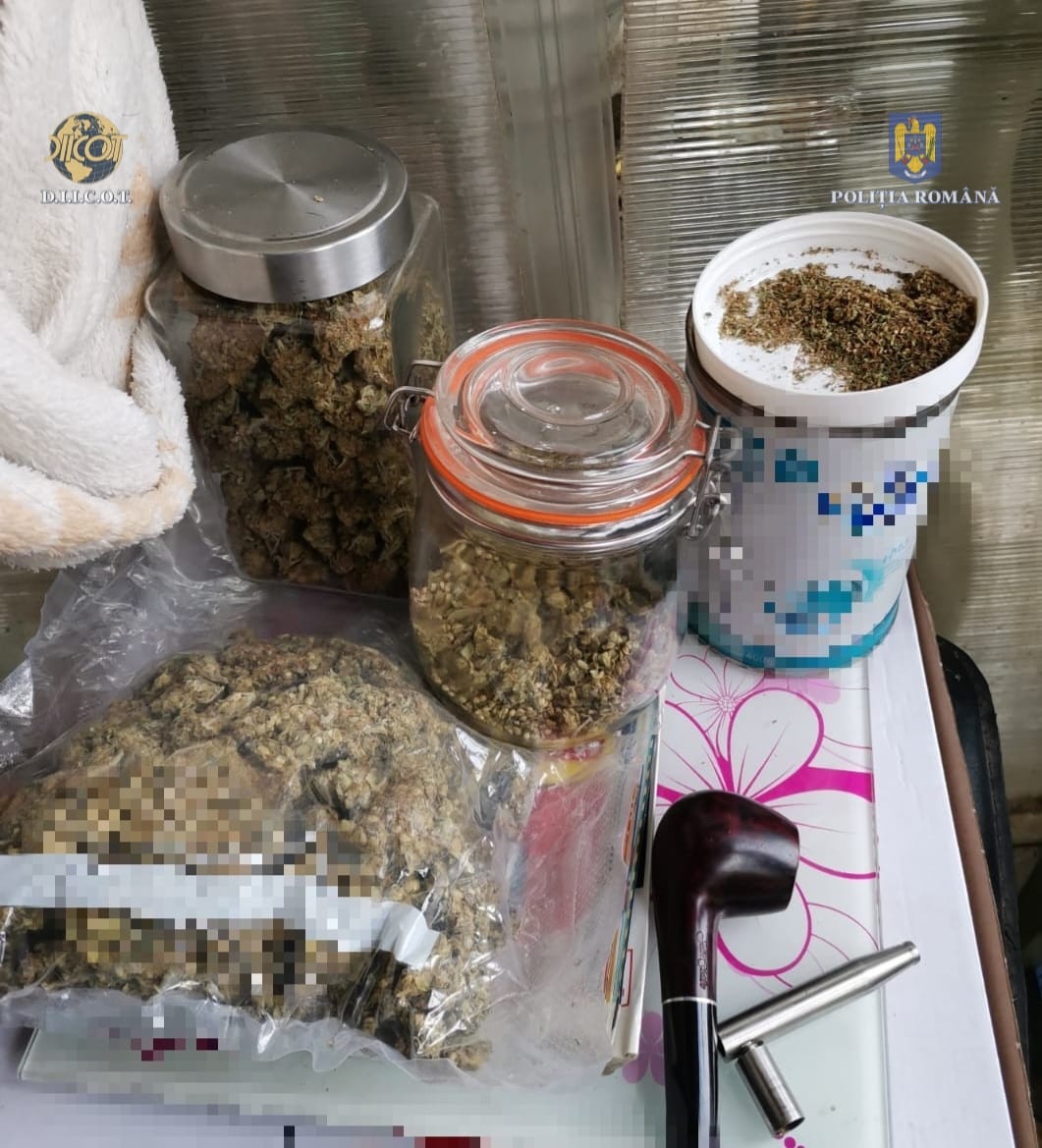 droguri iarba marijuana canabis (2)