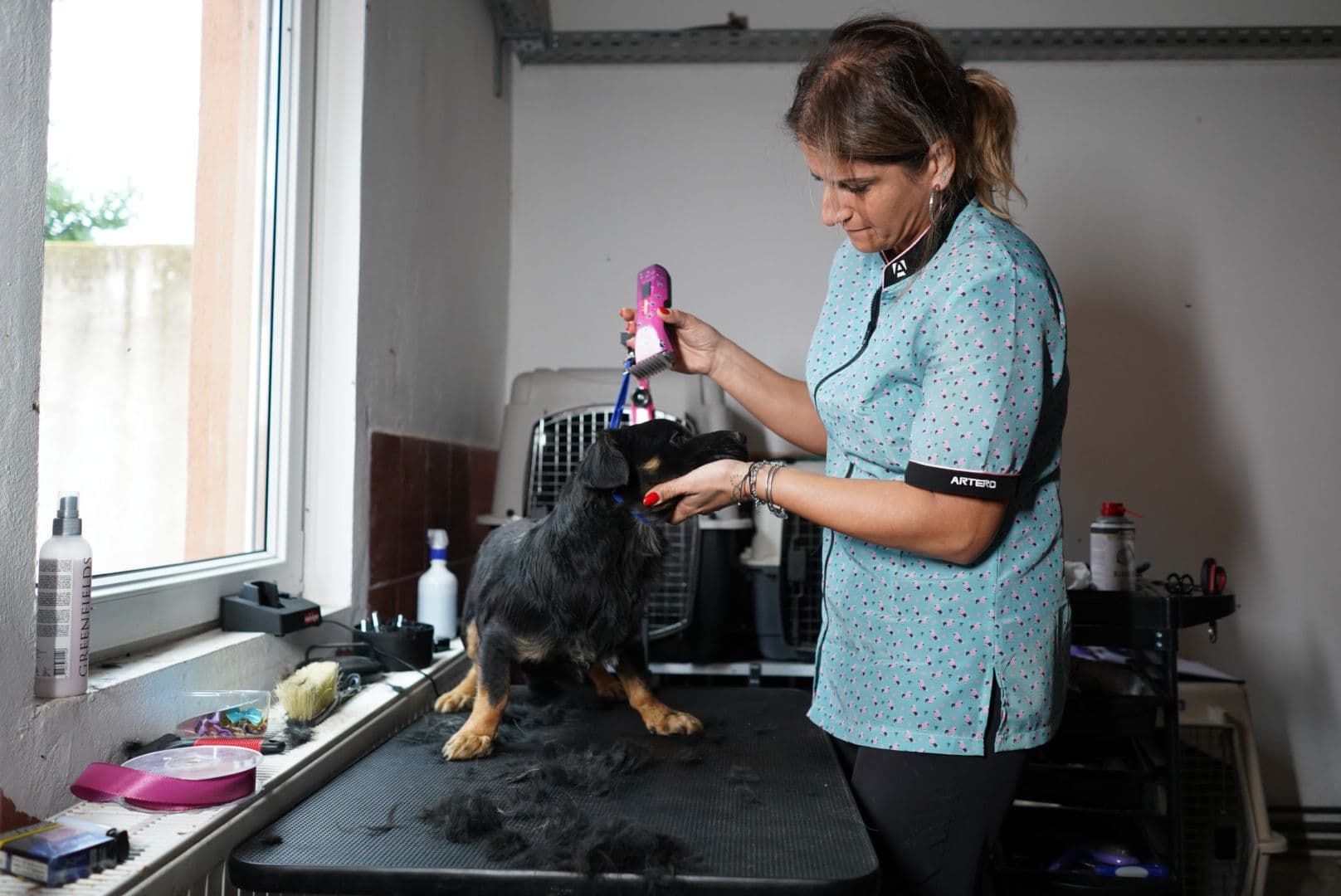 caini caine catel adoptii adoptie (11)