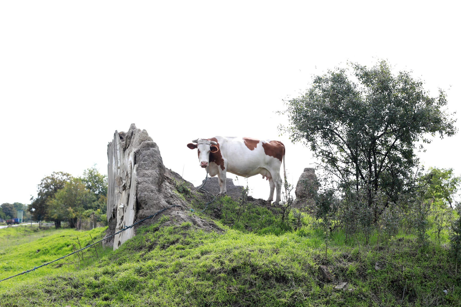 pista bicicleta romania serbia (4)