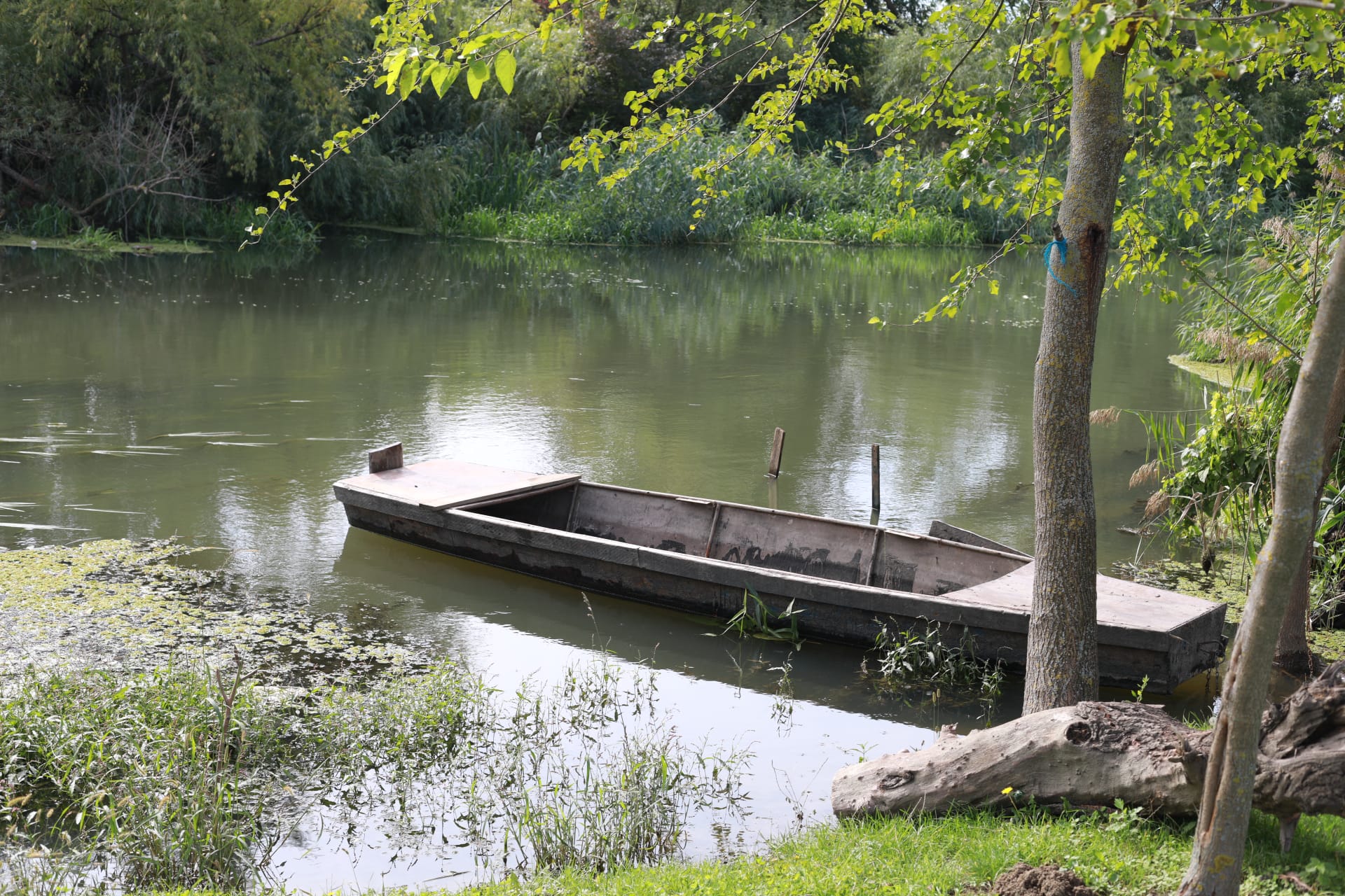 pista bicicleta romania serbia (6)