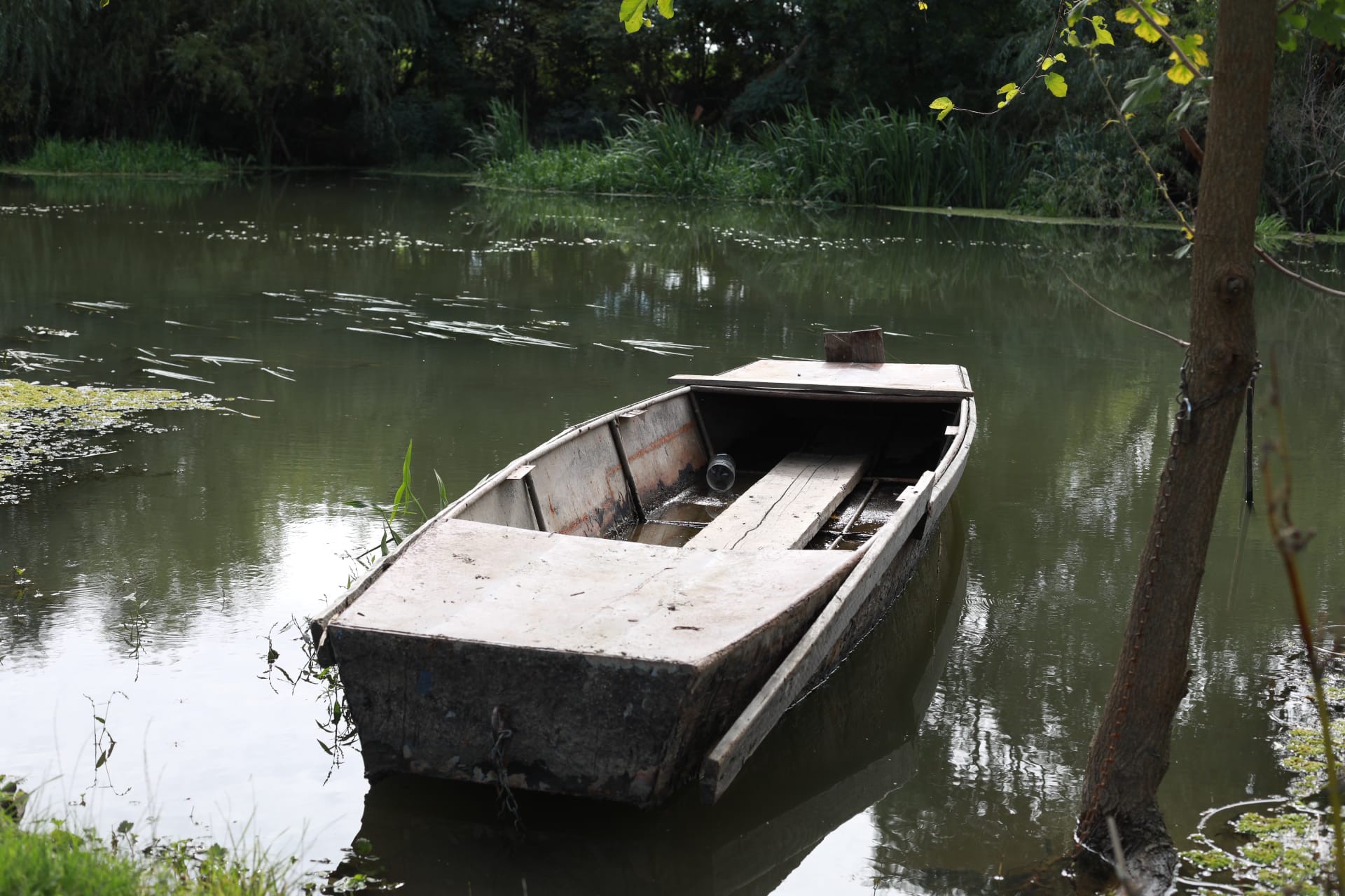 pista bicicleta romania serbia (7)