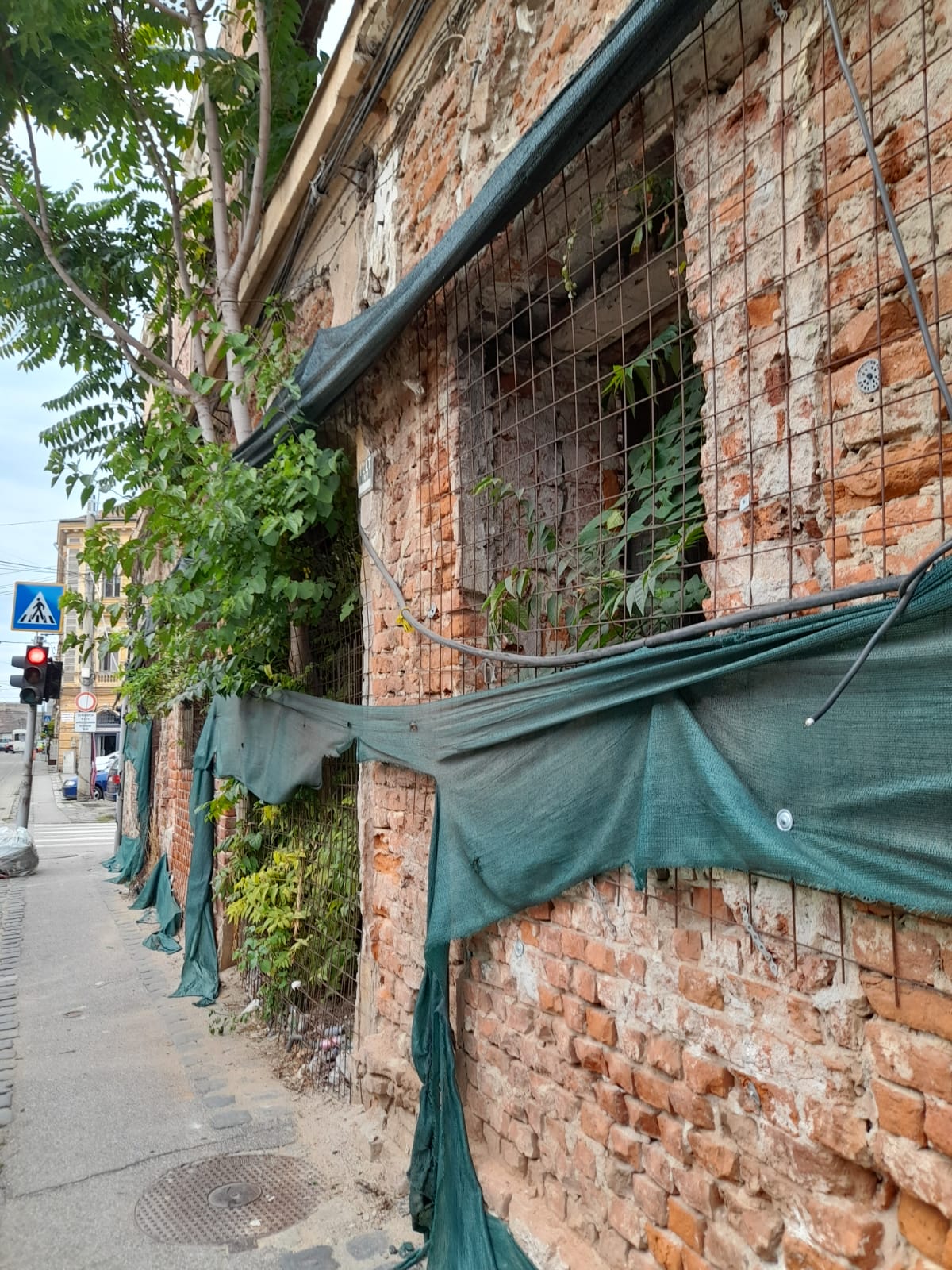 piata traian timisoara (8)