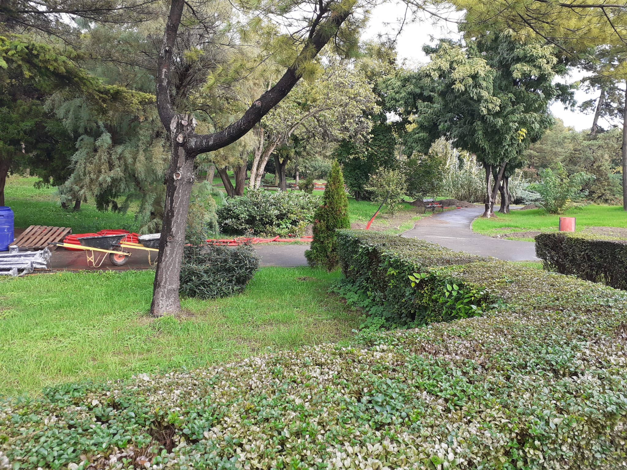 parcul botanic (6)