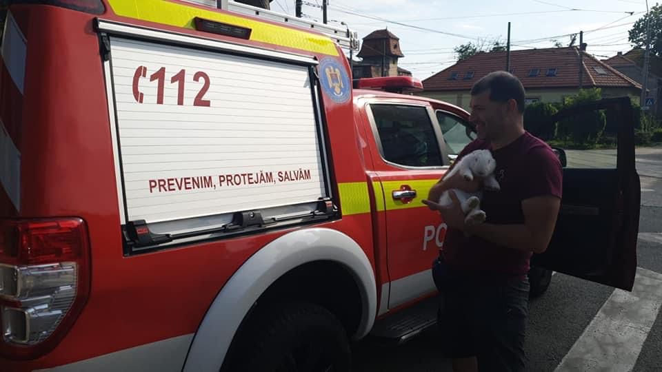 operatiuni salvare animale pompieri (2)