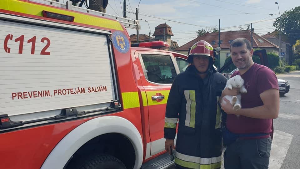 operatiuni salvare animale pompieri (3)