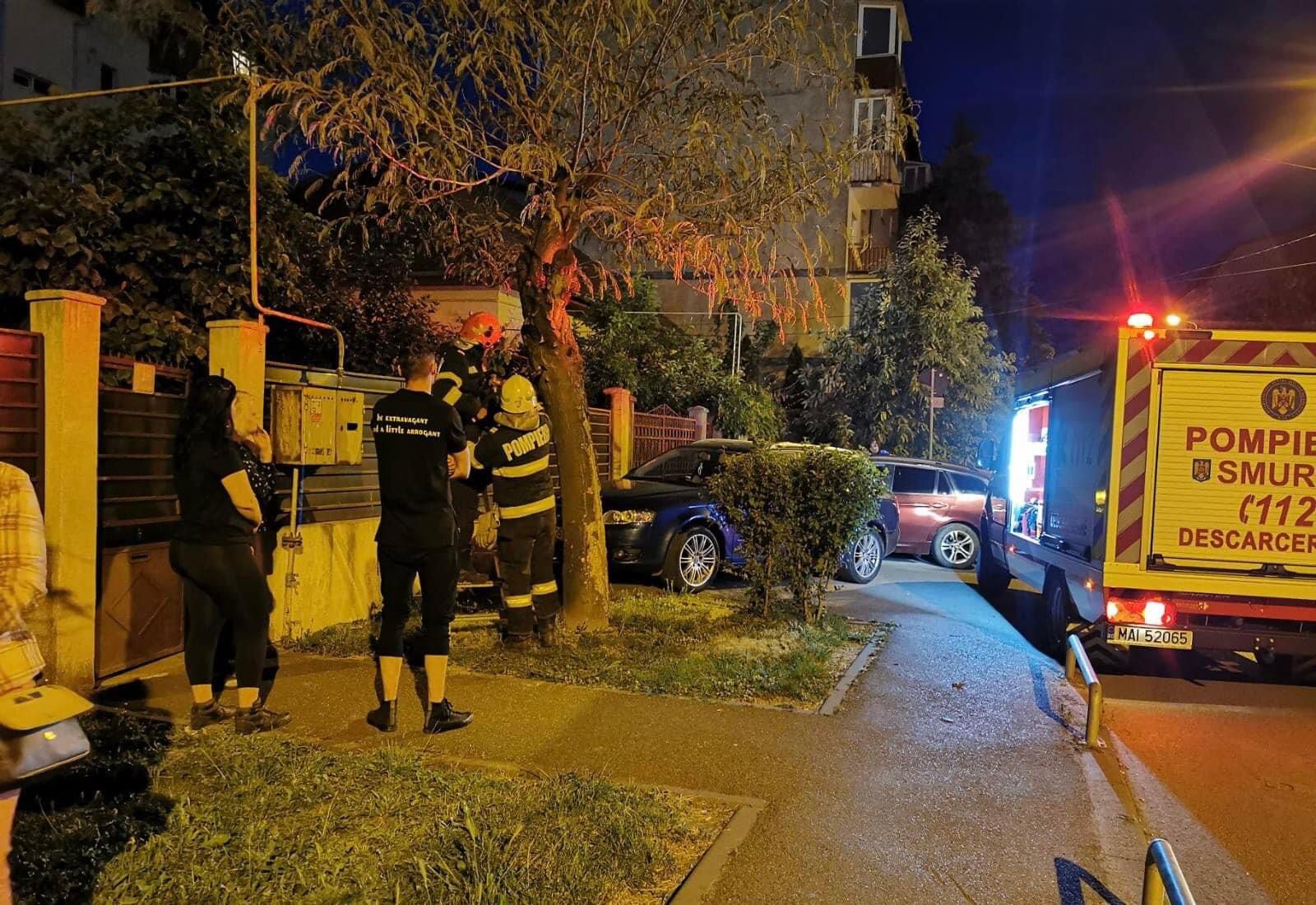 operatiuni salvare animale pompieri (6)