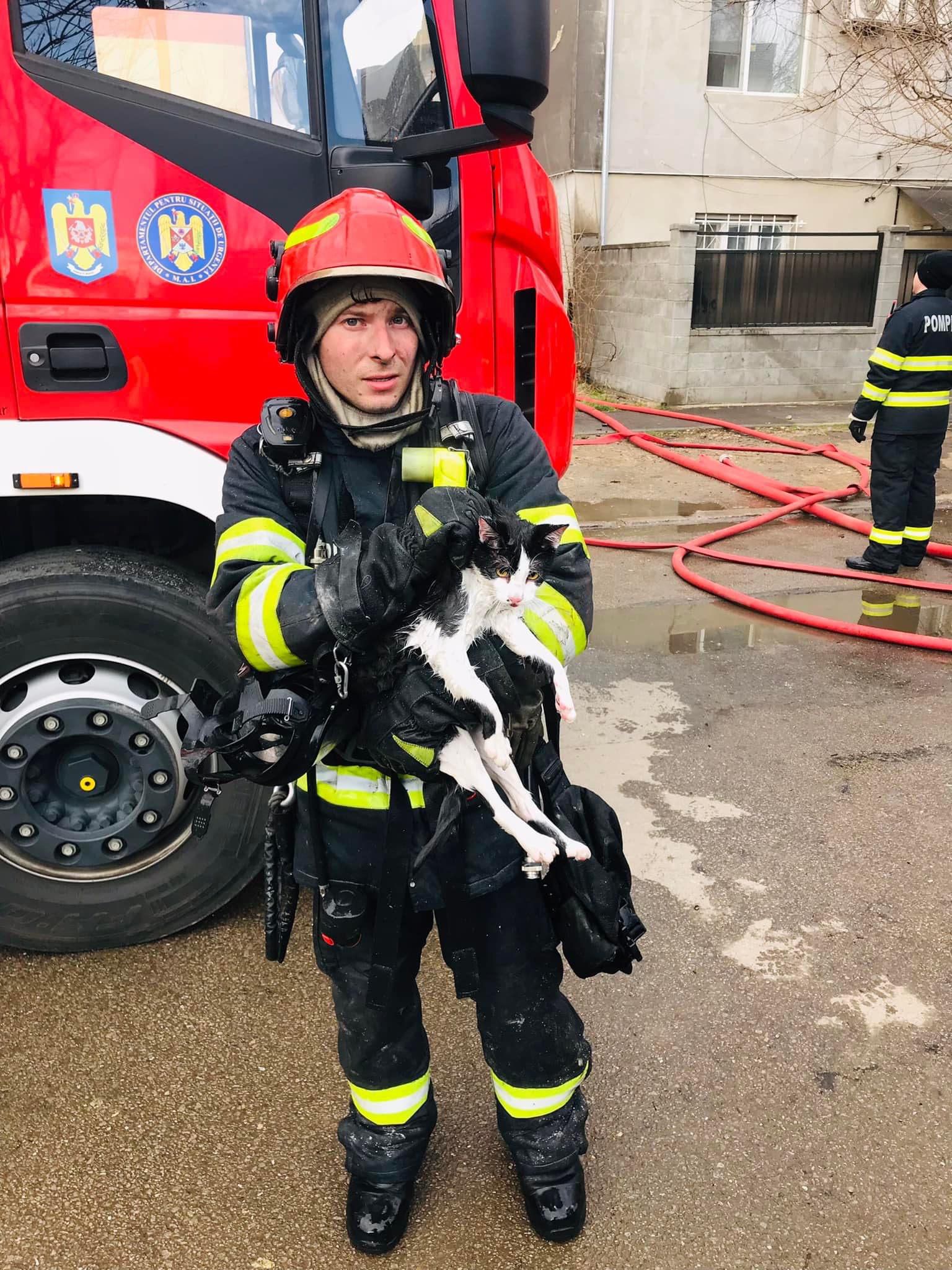 operatiuni salvare animale pompieri (16)