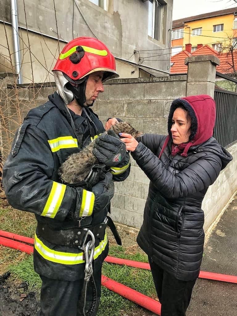 operatiuni salvare animale pompieri (17)