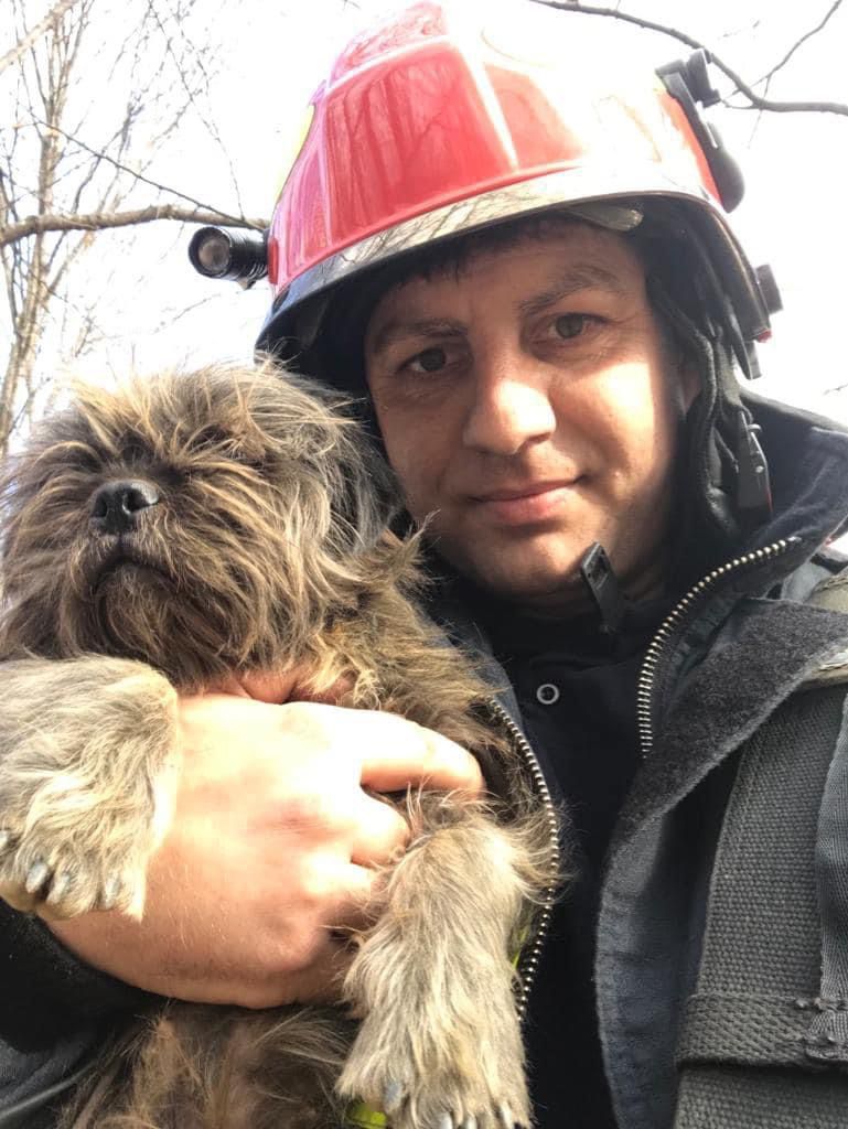operatiuni salvare animale pompieri (18)