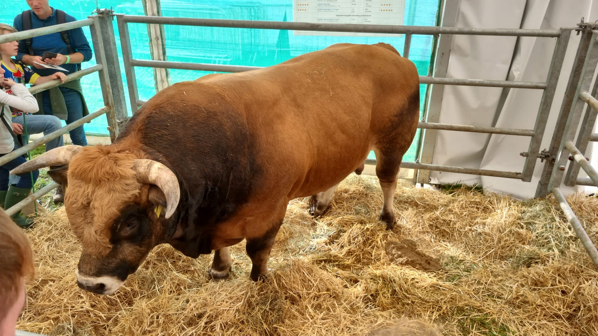 targul de agricultura dublin (3)