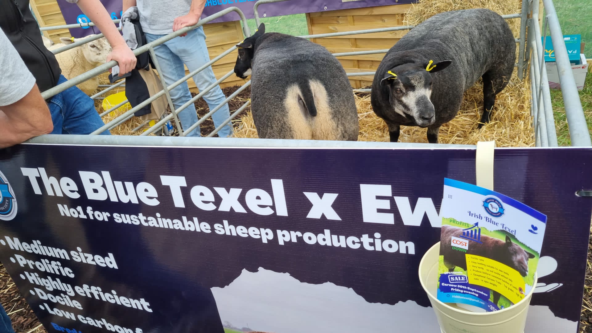 targul de agricultura dublin (6)