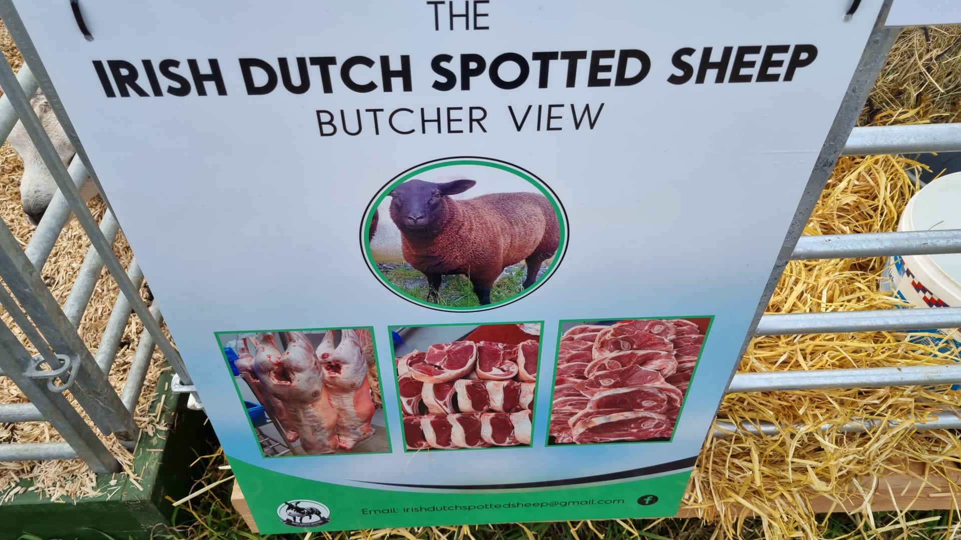 targul de agricultura dublin (10)