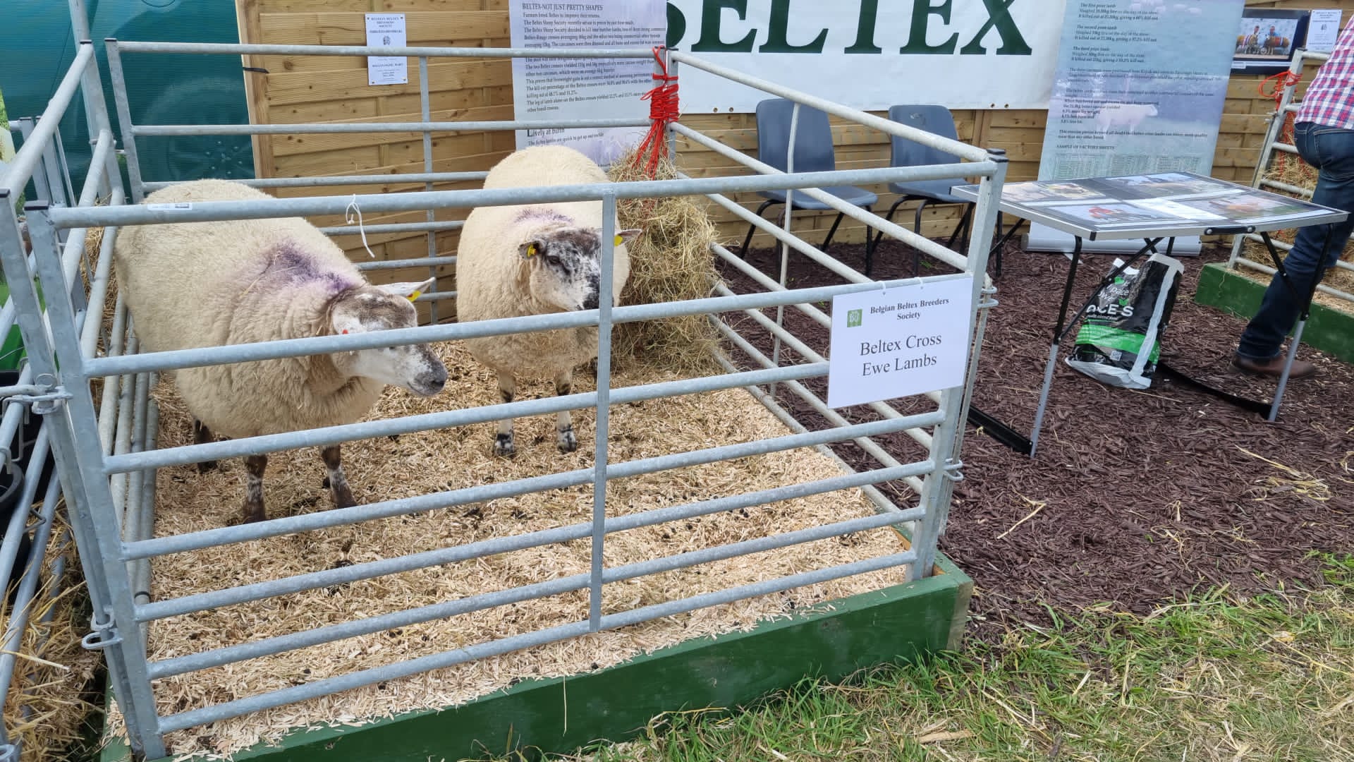 targul de agricultura dublin (11)