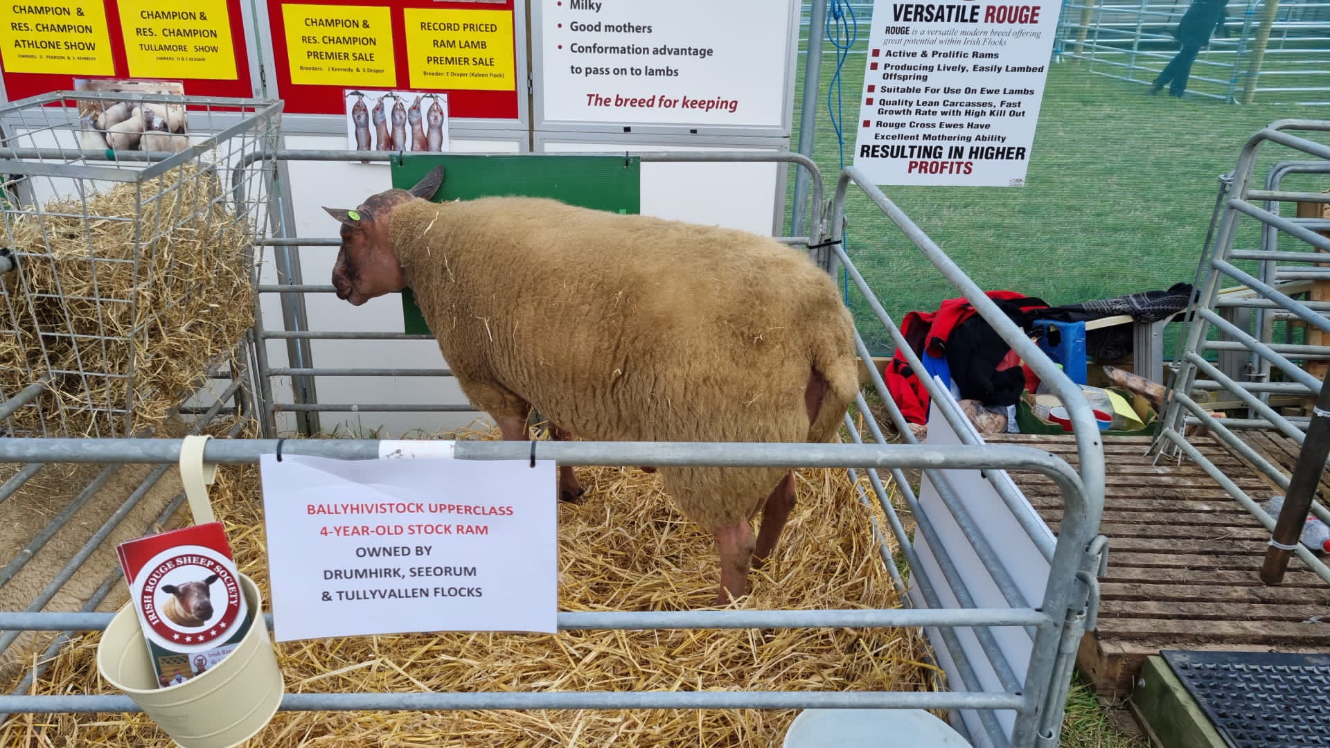 targul de agricultura dublin (12)