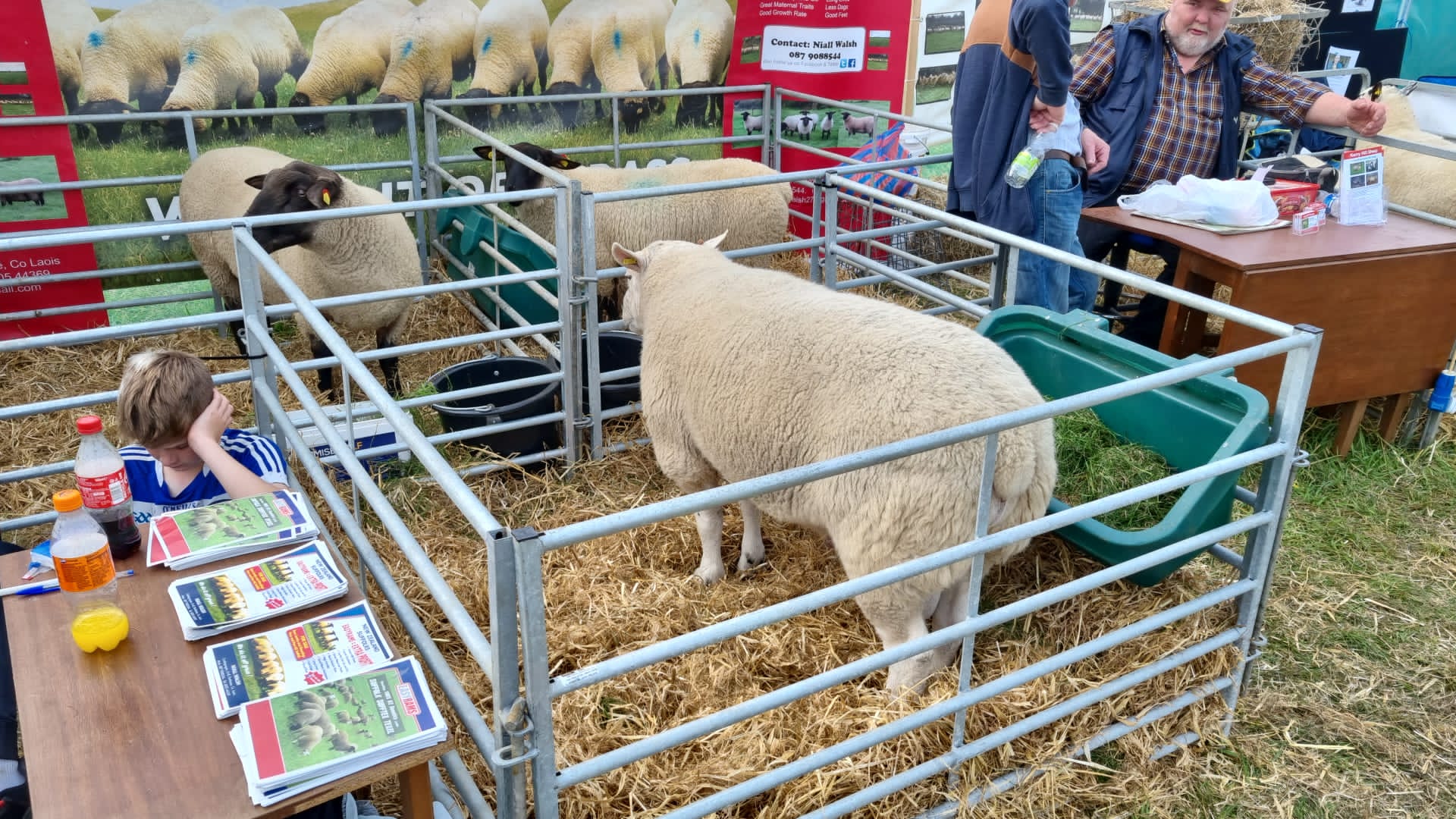 targul de agricultura dublin (14)