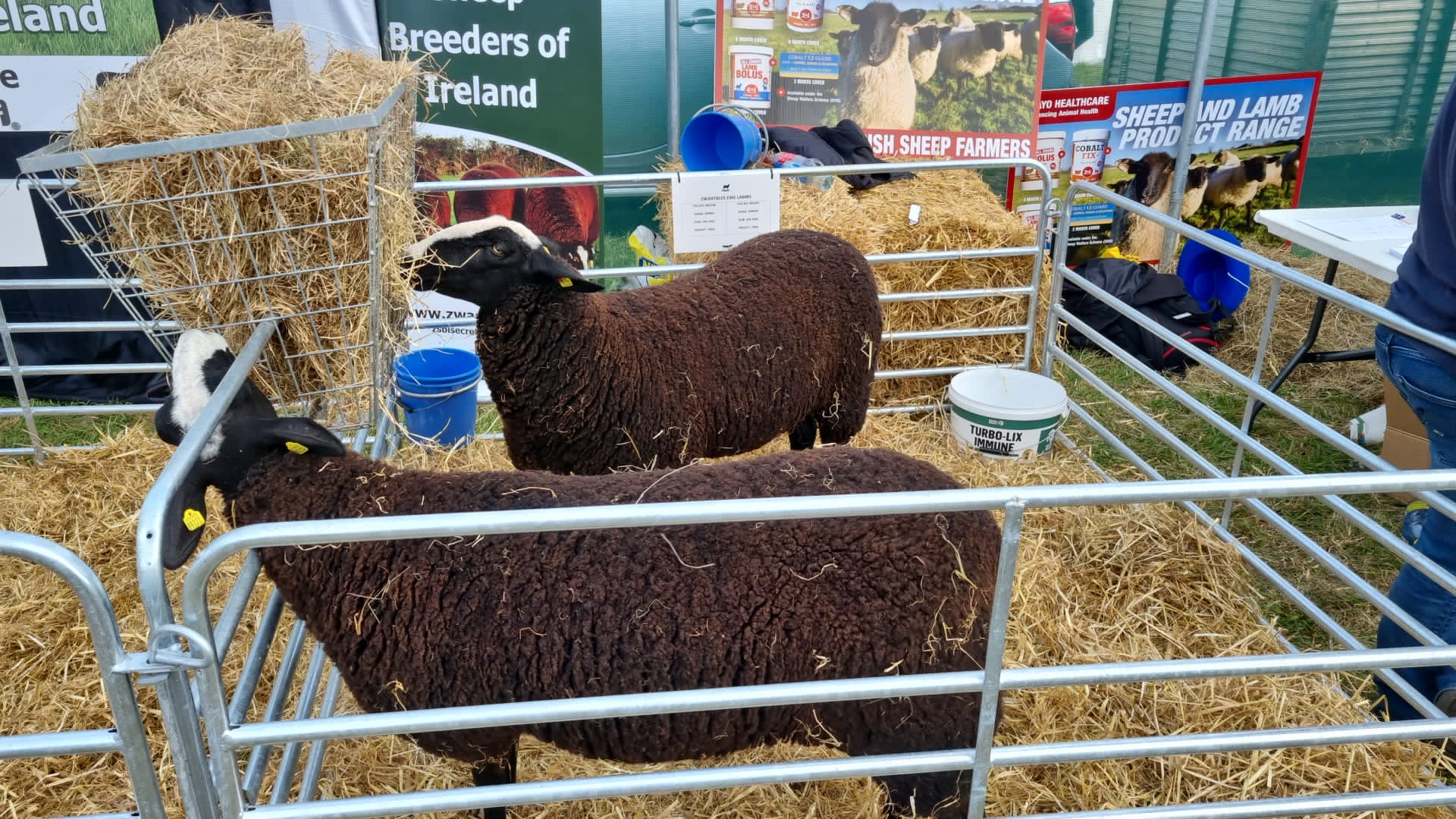 targul de agricultura dublin (16)