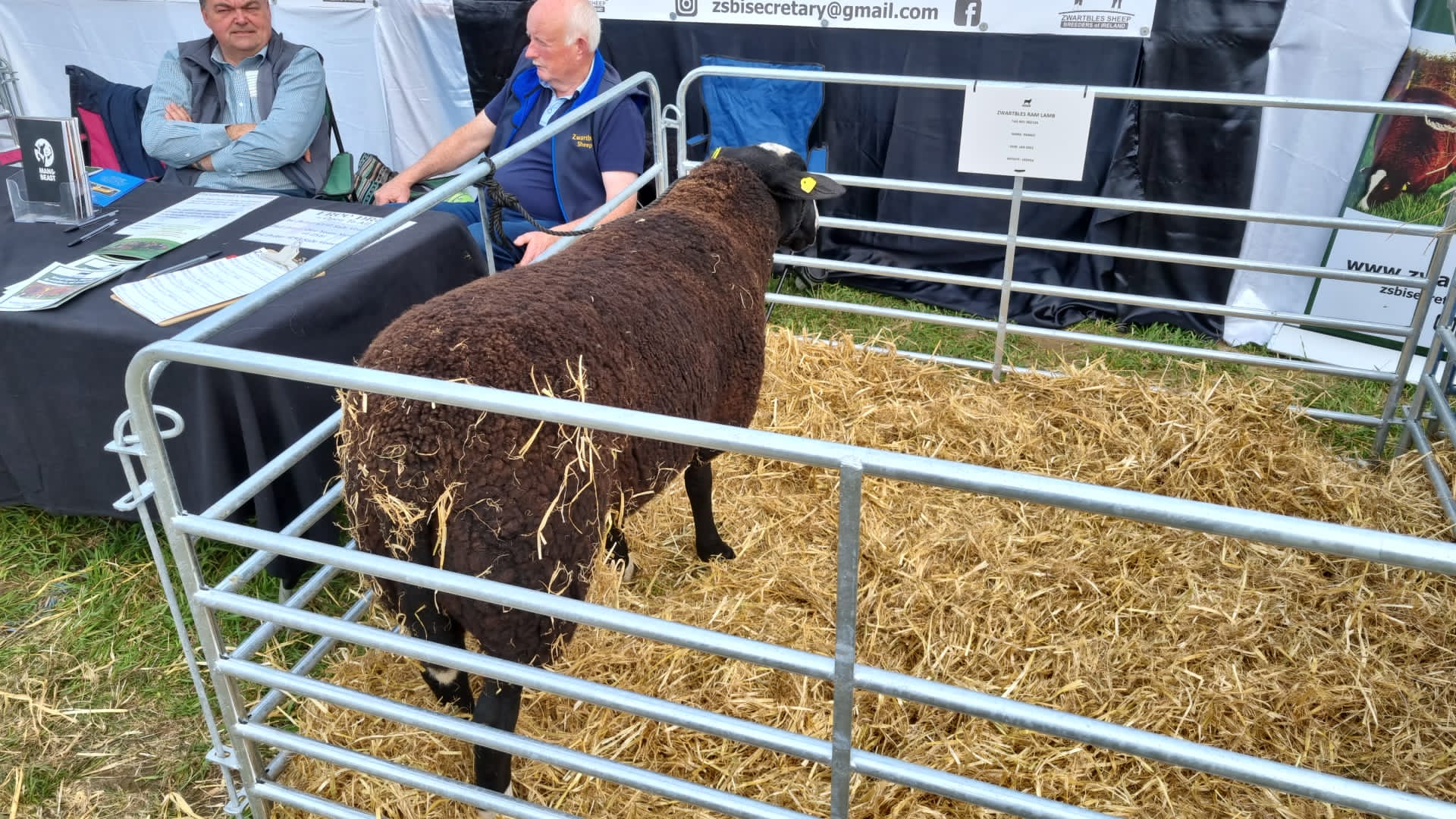 targul de agricultura dublin (18)