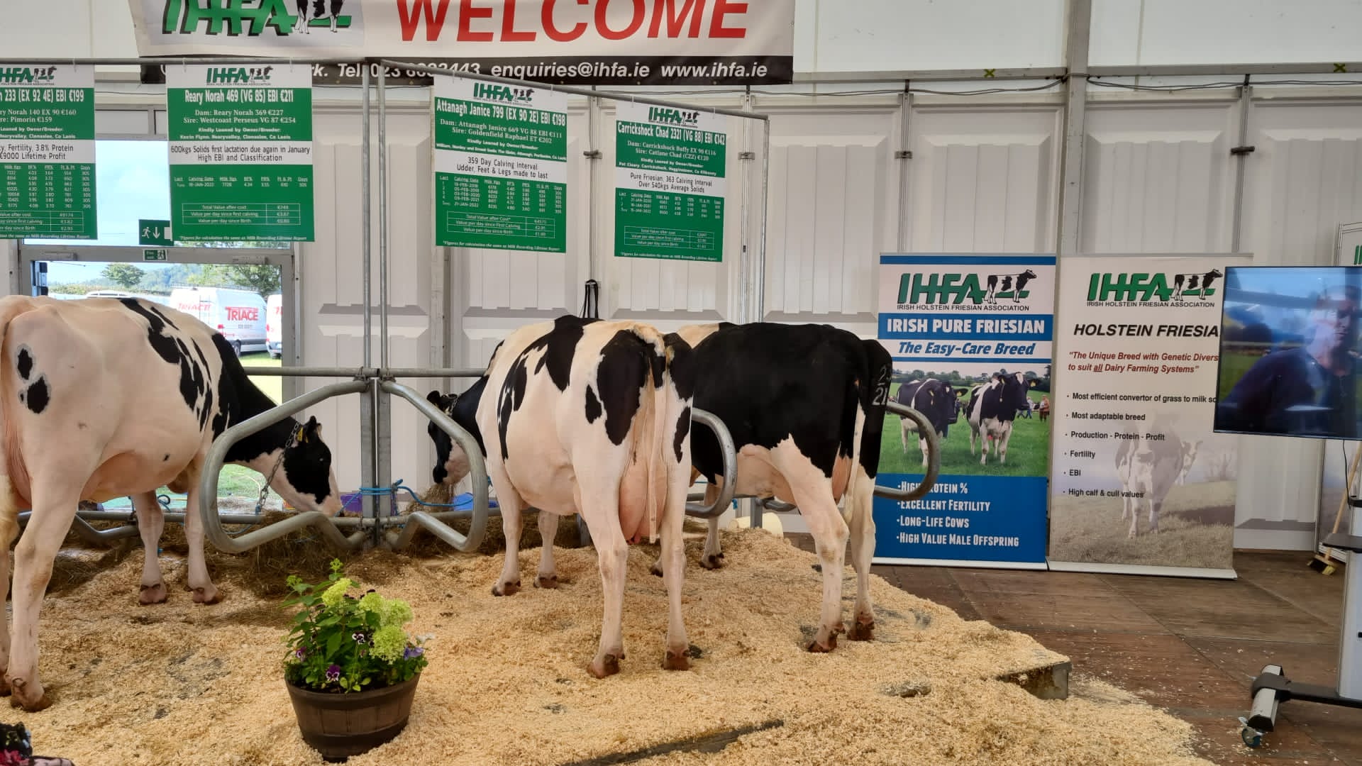 targul de agricultura dublin (26)