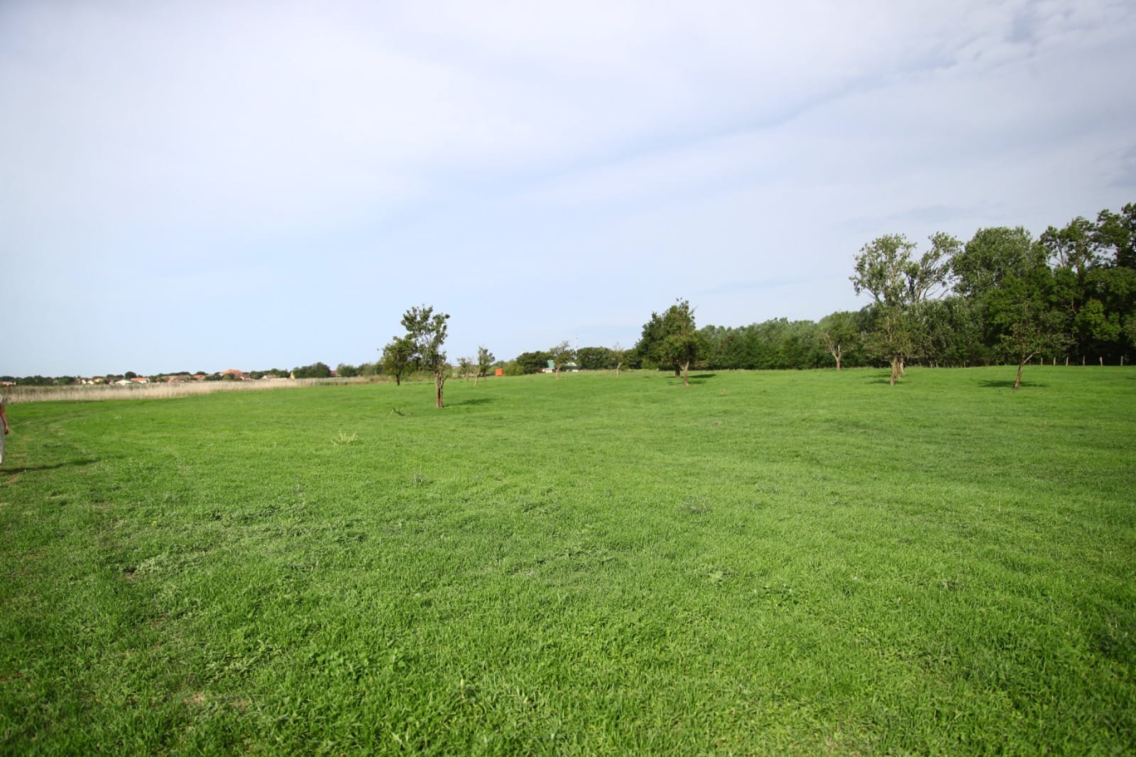 zona agrement biled (1)