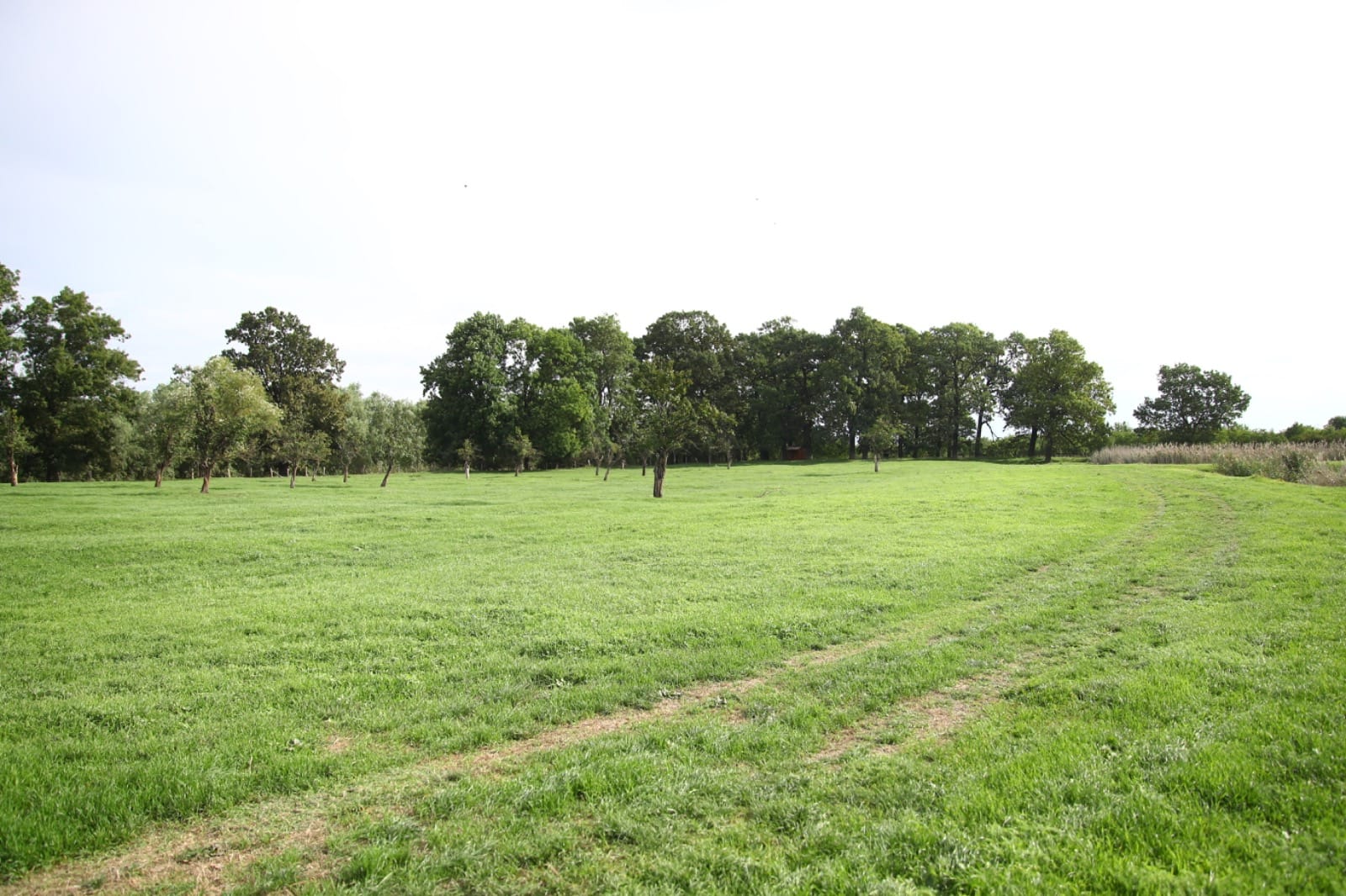 zona agrement biled (2)