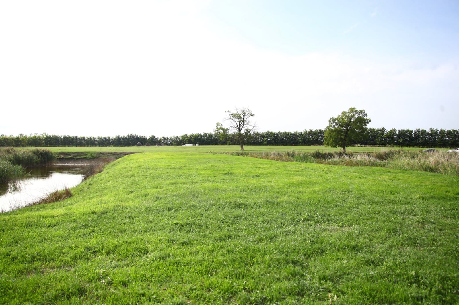 zona agrement biled (3)