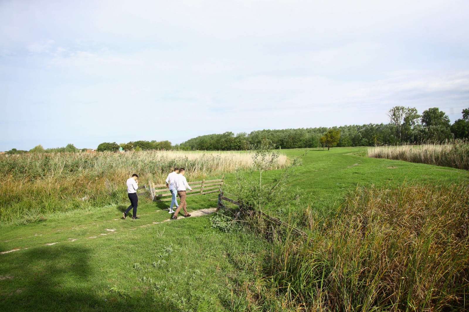 zona agrement biled (4)