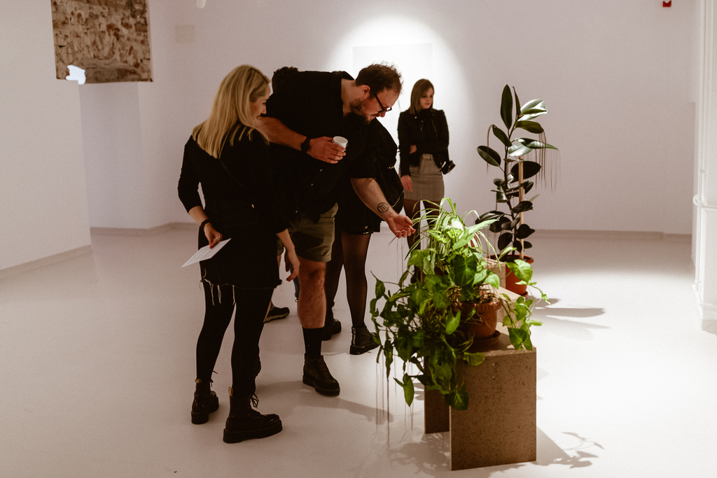 alexandra_meta spatiu (2)