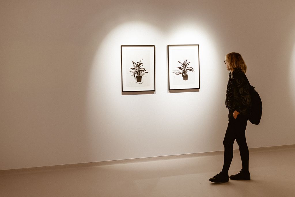 alexandra_meta spatiu (3)