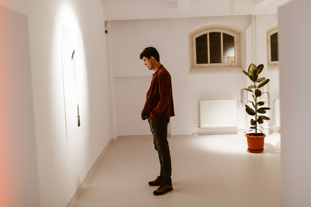 alexandra_meta spatiu (9)