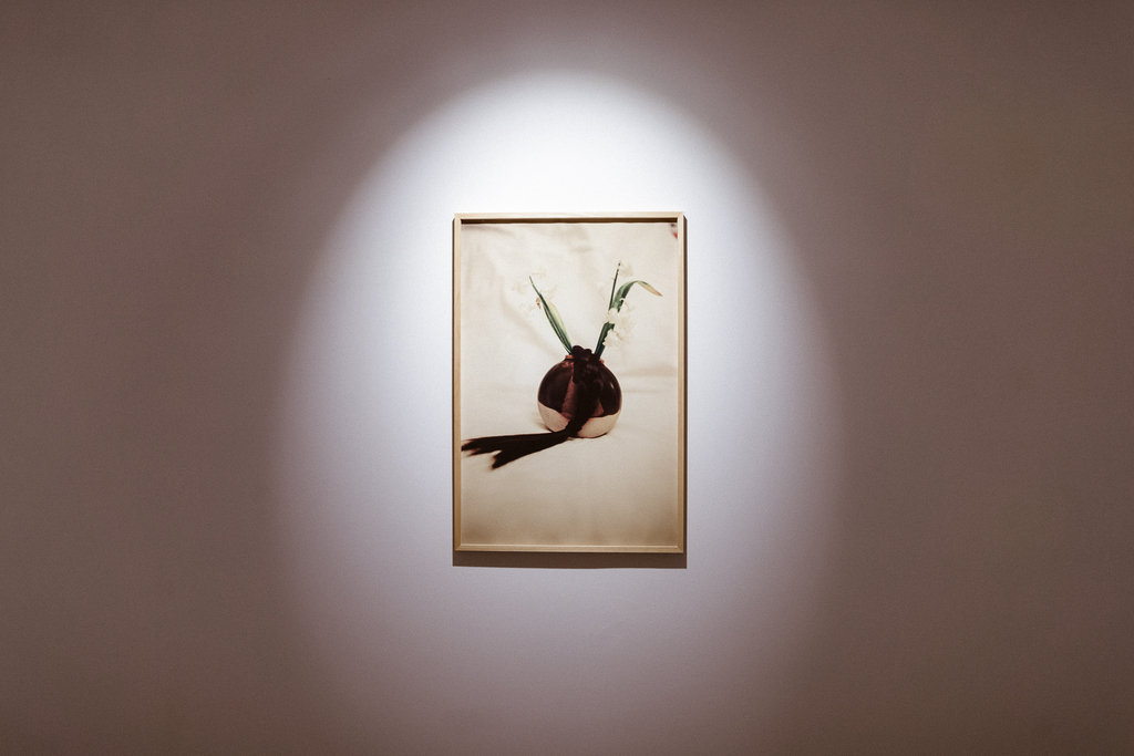 alexandra_meta spatiu (15)