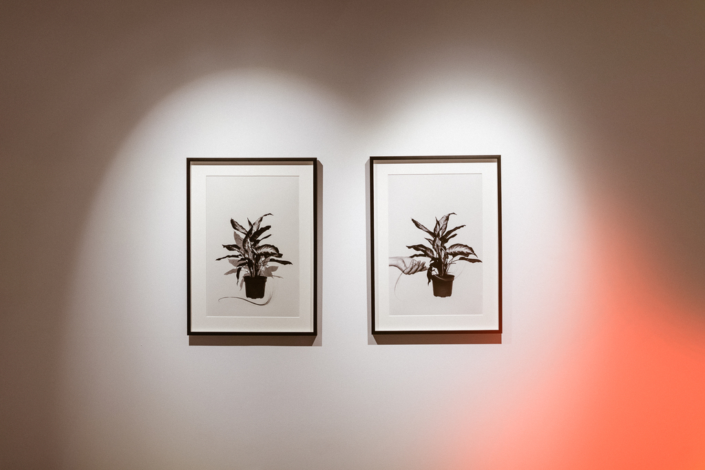 alexandra_meta spatiu (16)