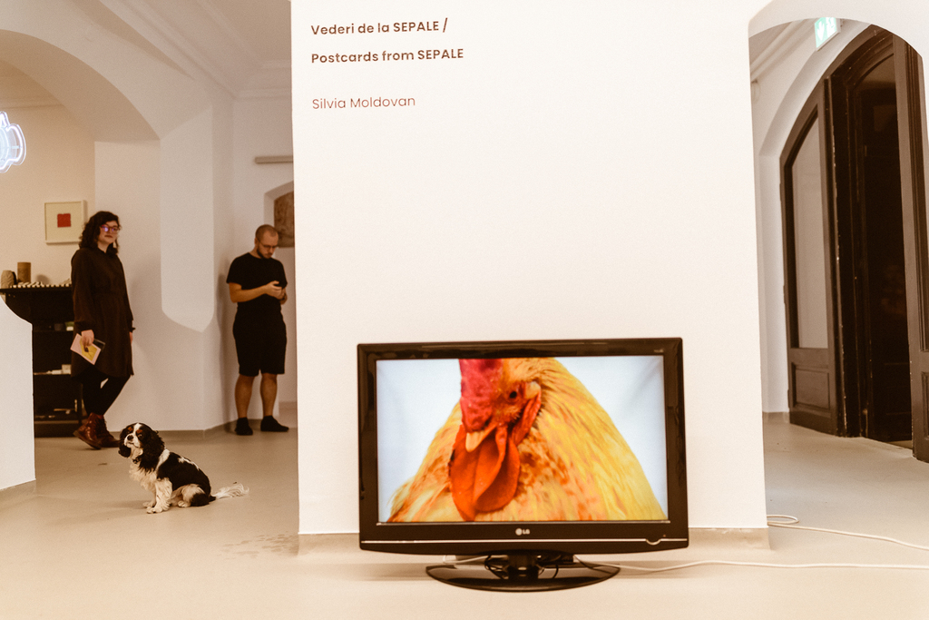 nag_meta spatiu (23)