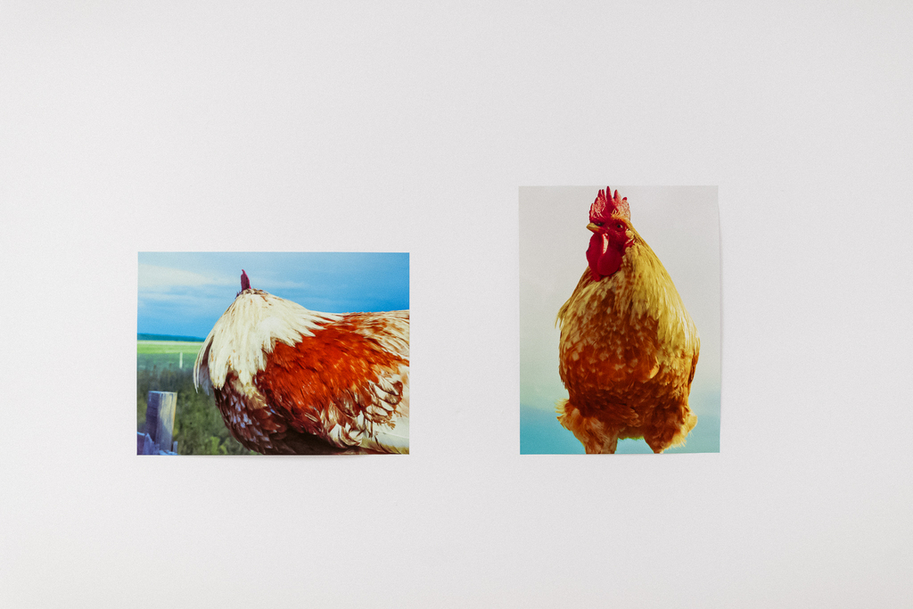 silvia_moldovan_metaspatiu (6)