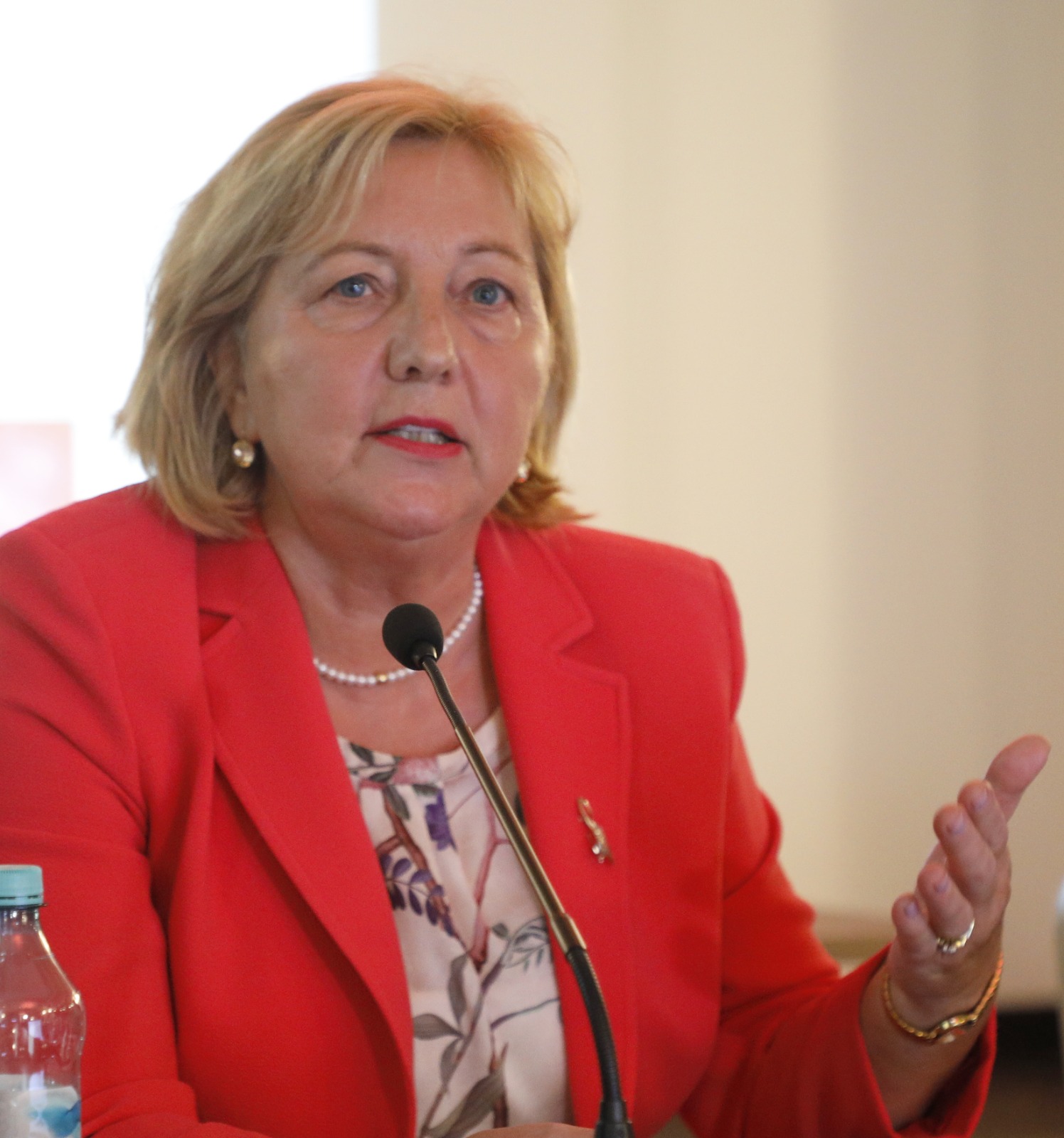 conferinta VSR Hotel Timișoara (2)