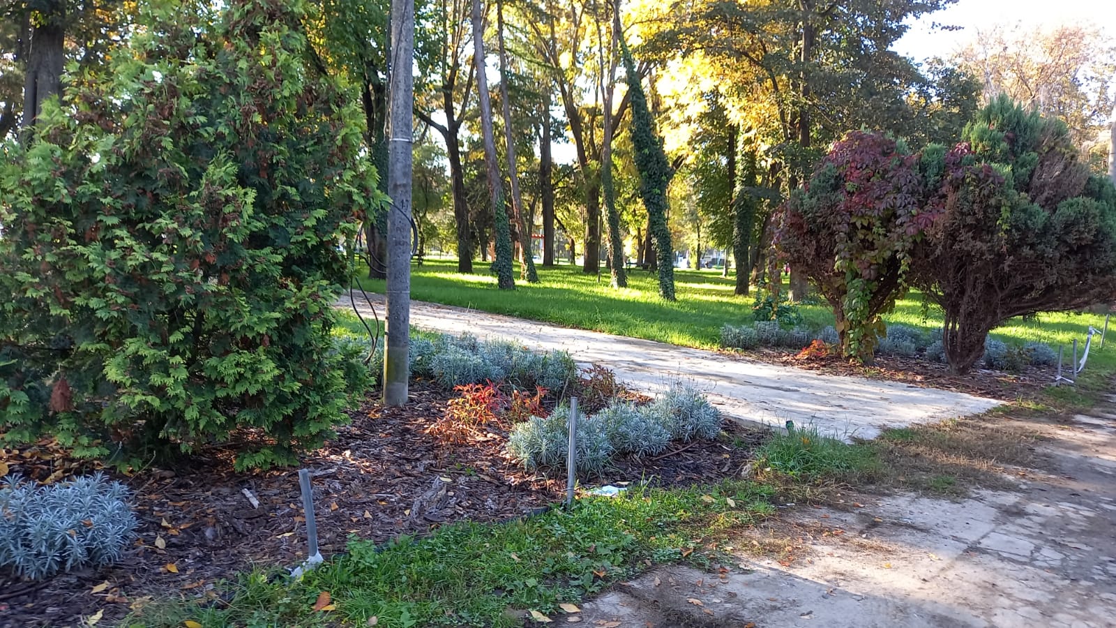 parcul civic octombrie 2022 (2)