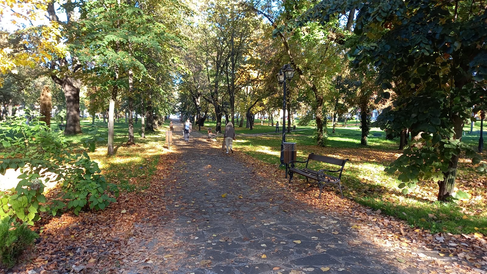 parcul civic octombrie 2022 (8)