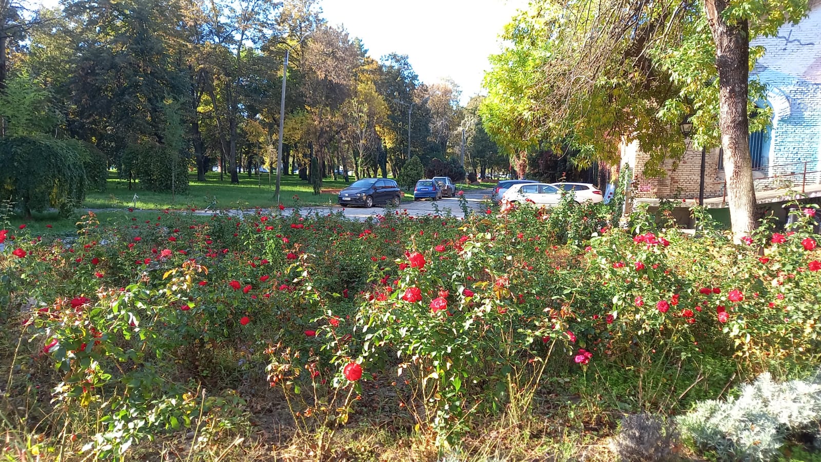 parcul civic octombrie 2022 (11)