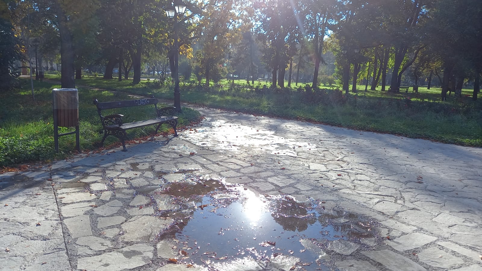 parcul civic octombrie 2022 (12)