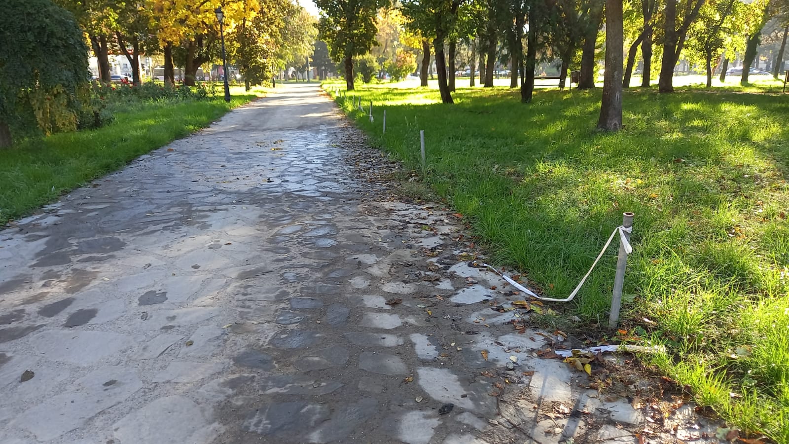 parcul civic octombrie 2022 (13)