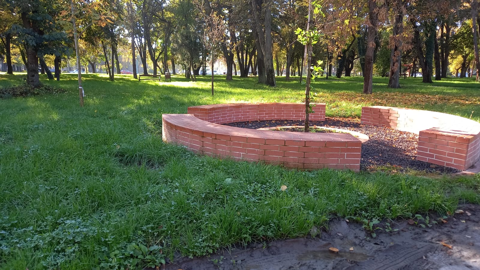 parcul civic octombrie 2022 (14)