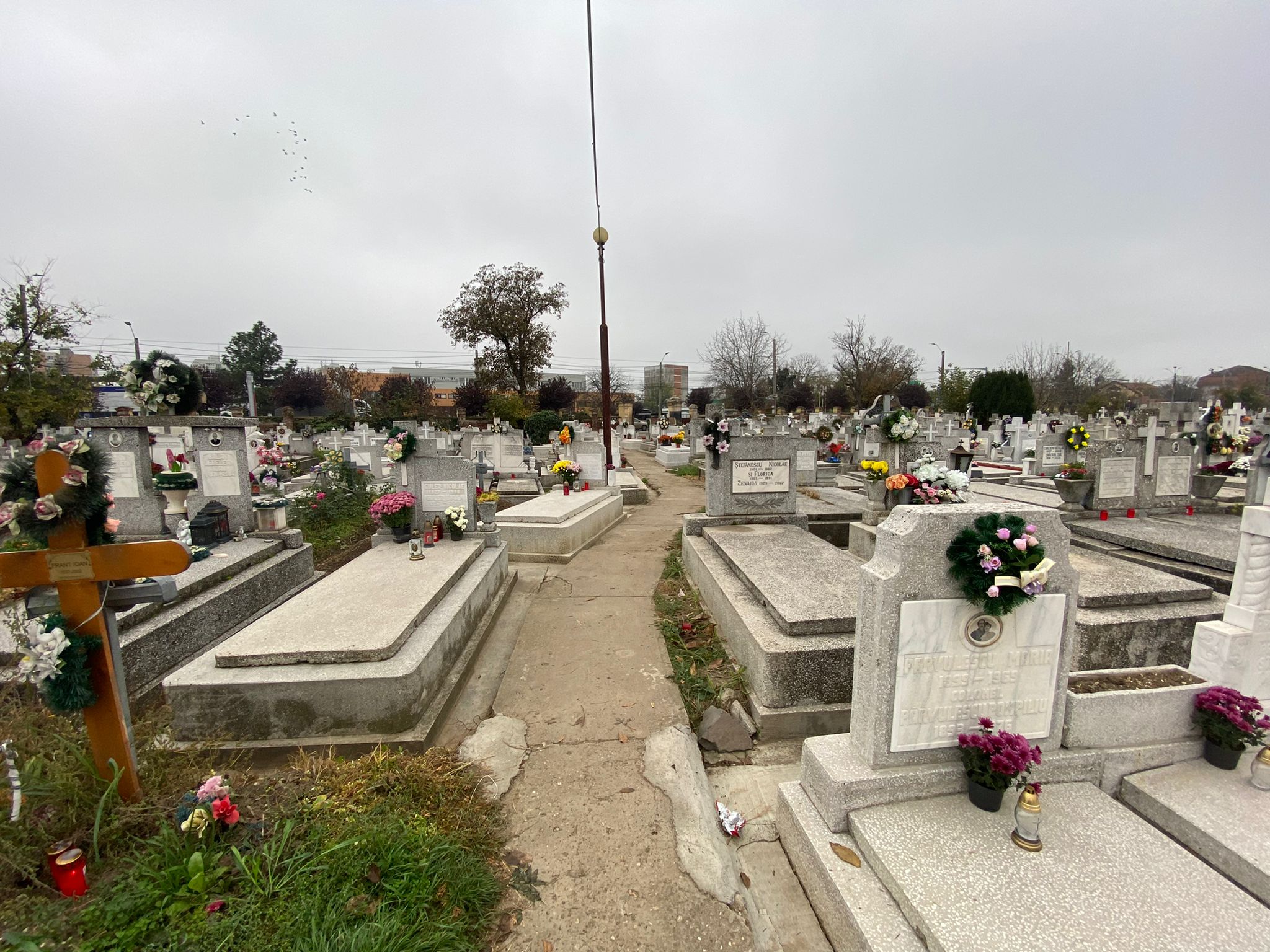 cimitire timisoara ziua mortilor (1)
